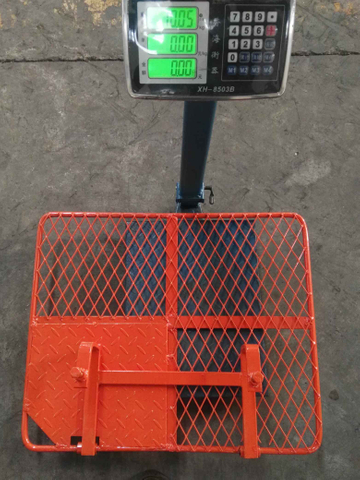 Botola di sicurezza per ponteggi/portello per scaletta per impalcature